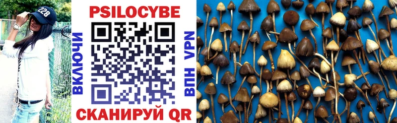 даркнет сайт  Кушва  Псилоцибиновые грибы Cubensis 